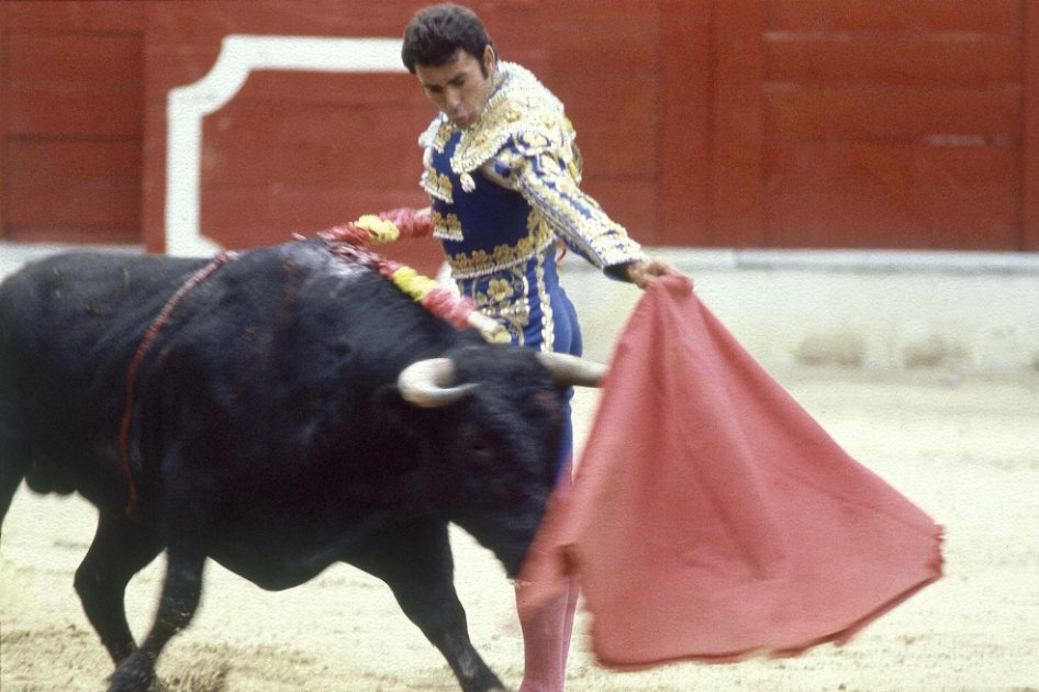 Guillermo Cano y los toros