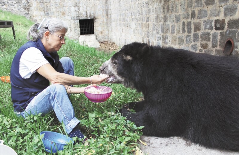 La difícil situación en los zoológicos colombianos por el coronavirus