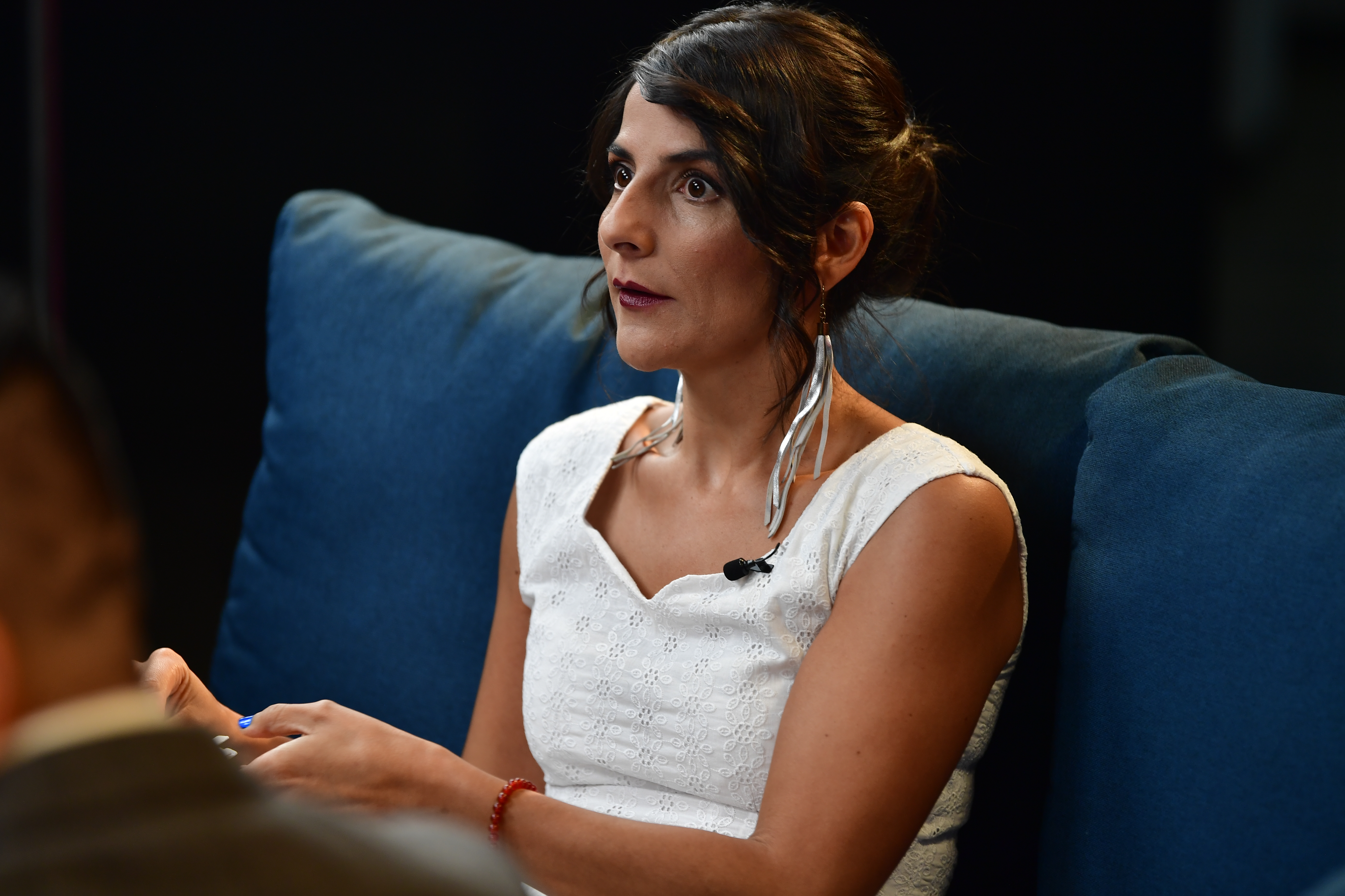 ANLA explica que Manual de Funciones no se modificó para la llegada de Irene Vélez