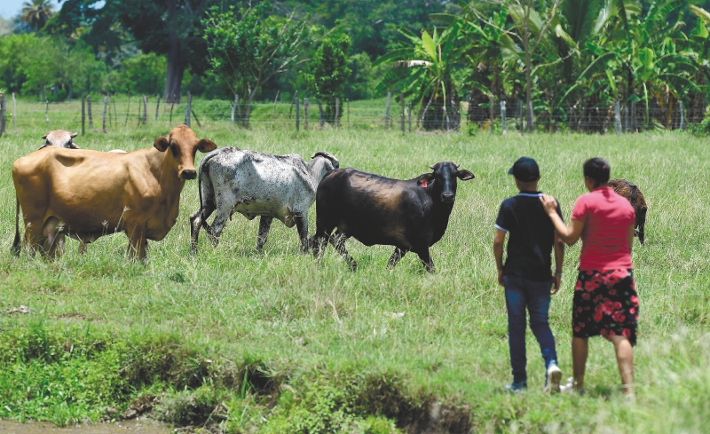 El actual panorama de avances y retos en la restitución de tierras