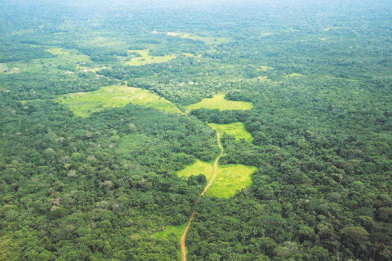 La carretera con la que quieren pavimentar el Amazonas