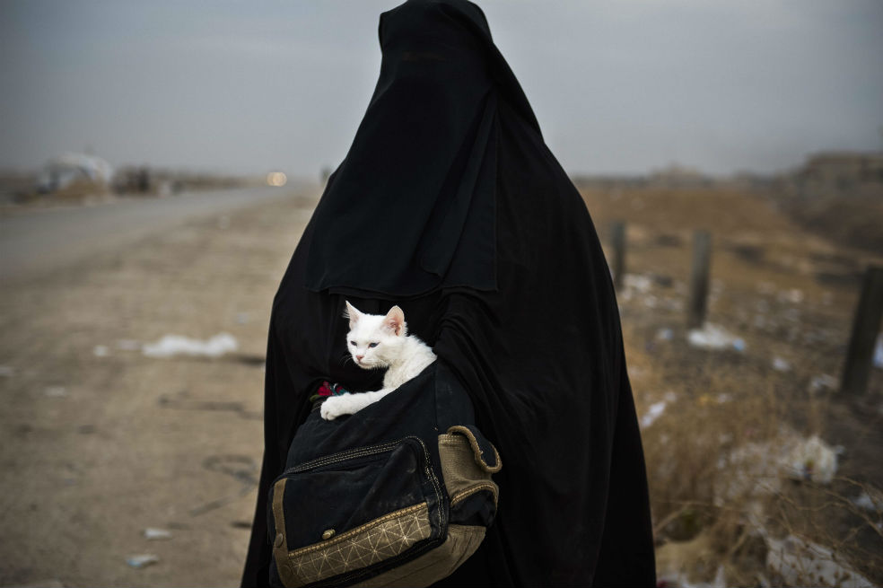 Las impactantes imágenes que deja la toma de Mosul