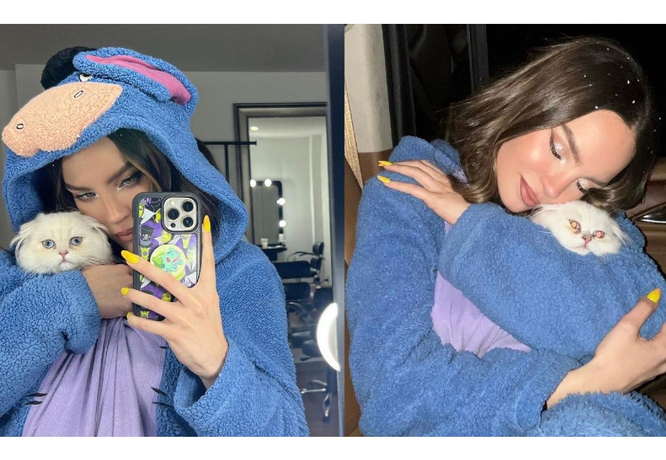 Belinda busca a su gato Glen y pide ayuda desesperada para encontrarlo