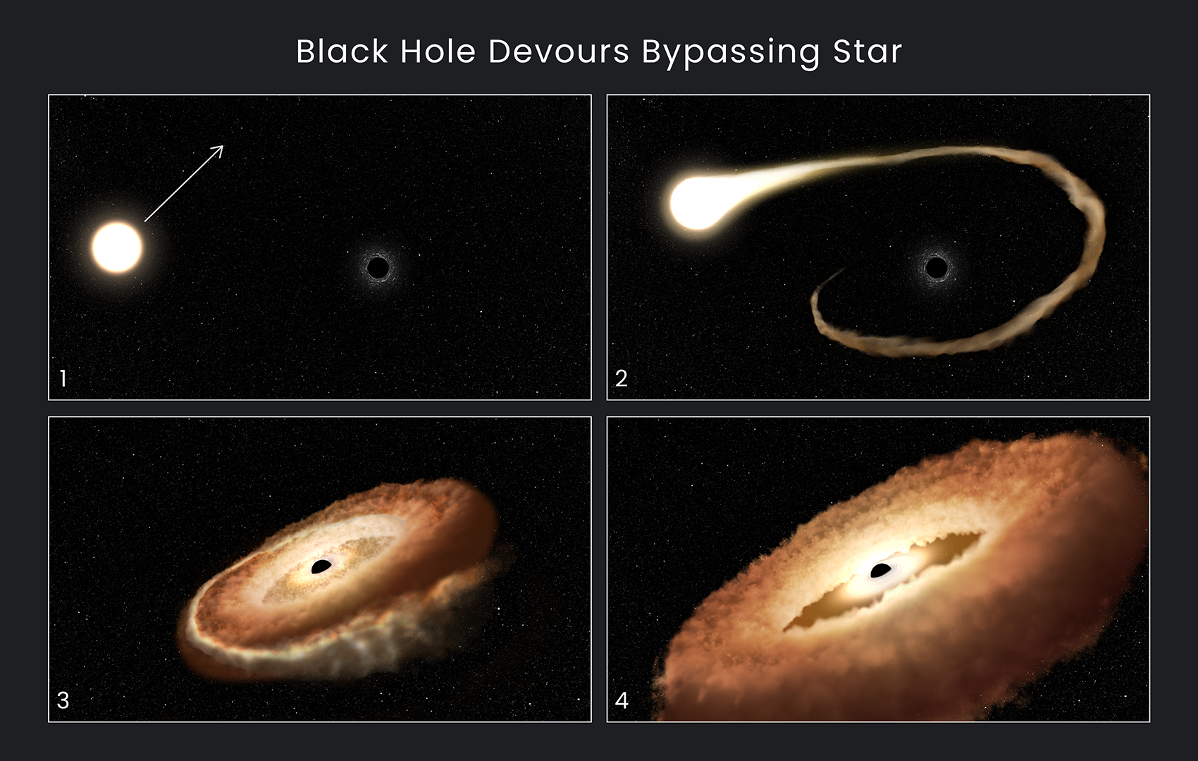 Esta secuencia de ilustraciones de artistas muestra el evento captado por el Telescopio Hubble. 1. Una estrella normal pasa cerca de un agujero negro supermasivo, que se encuentra en el centro de una galaxia. 2. Los gases exteriores de la estrella son atraídos hacia el campo gravitatorio del agujero negro. 3. La estrella se tritura cuando las fuerzas de las mareas la separan. 4. Los remanentes estelares son atraídos hacia un anillo en forma de rosquilla alrededor del agujero negro y eventualmente caerán en el agujero negro, liberando una enorme cantidad de luz y radiación de alta energía.