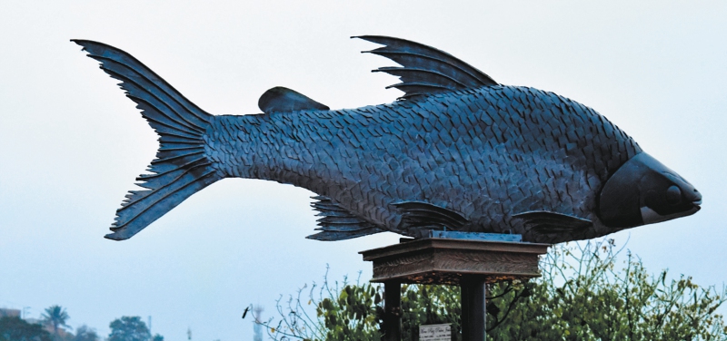 Los guardianes de la memoria del Catatumbo