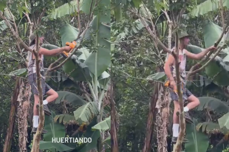 Sebastián Martínez en un árbol.