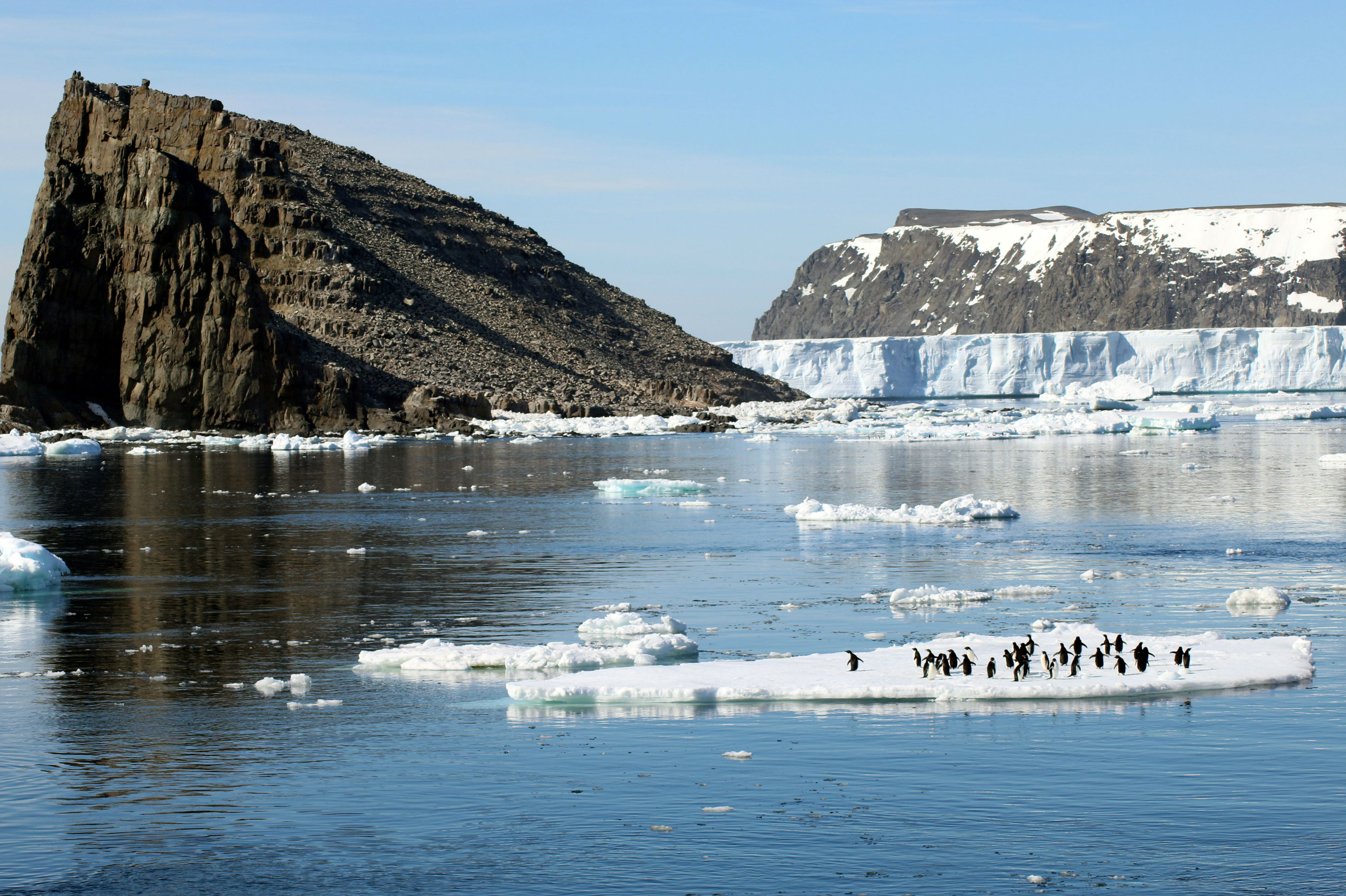 Fotos de Islas Danger, donde descubrieron 1,5 millones de pingüinos adelaida
