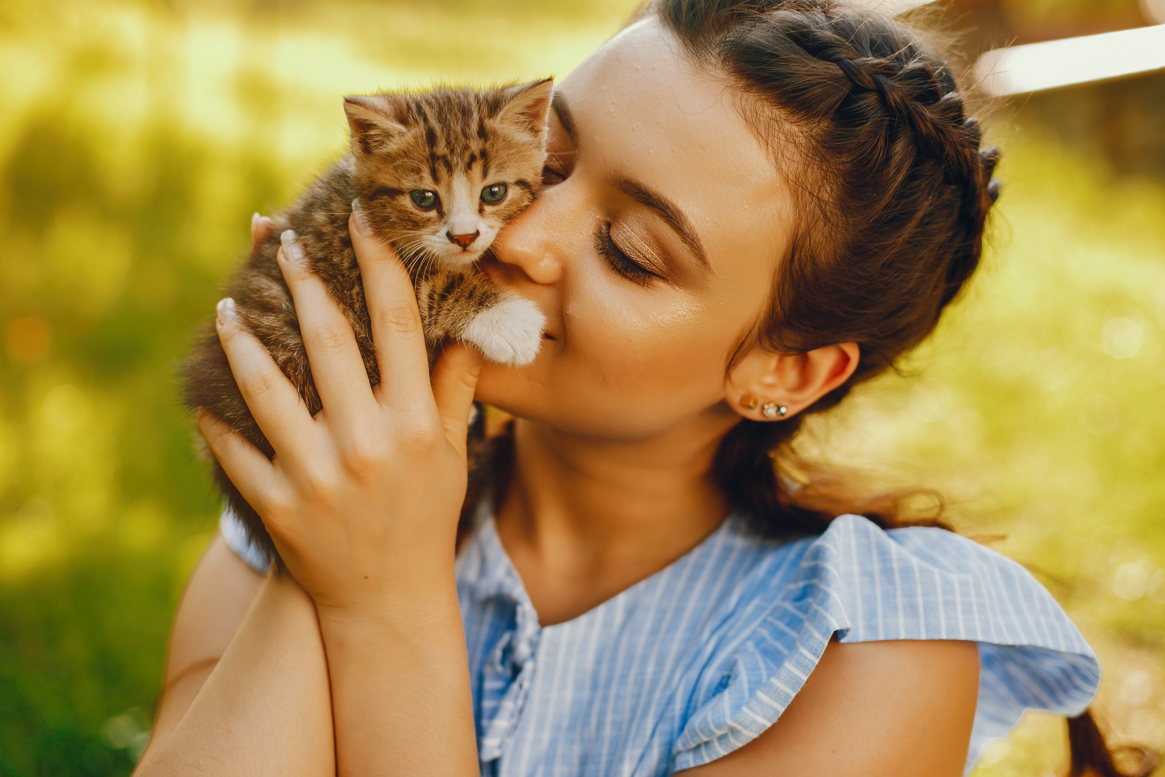¿Cómo saber si un gato se siente amado?