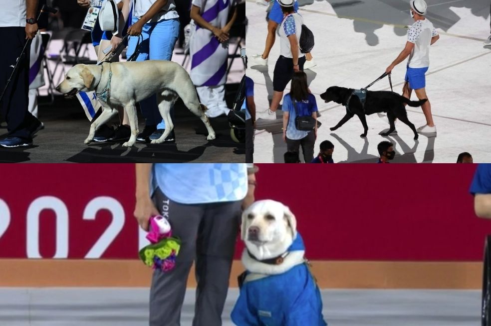 Juegos Paralímpicos Tokio 2020
