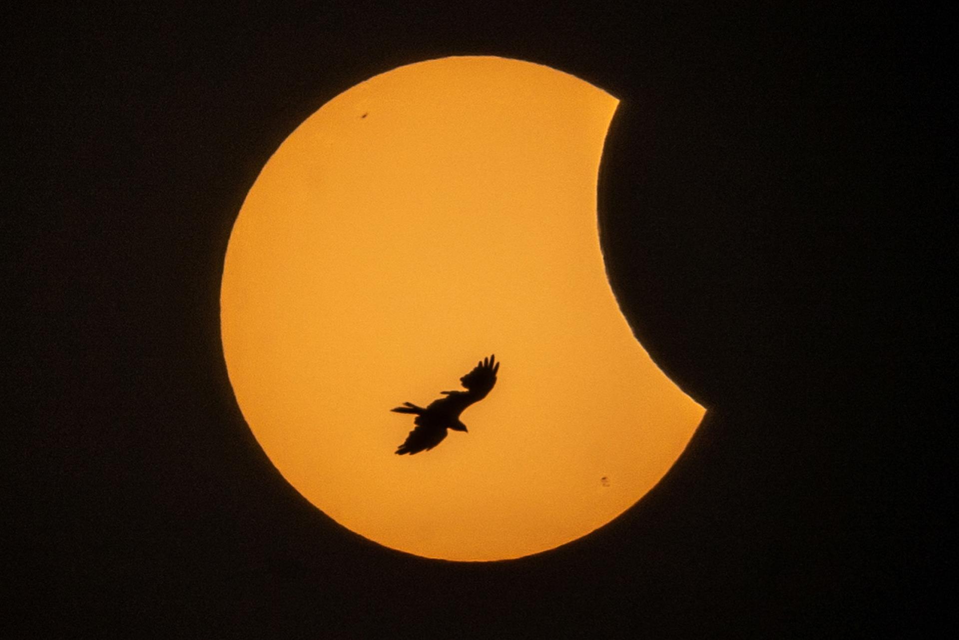Eclipse solar de abril 2023: signos del zodiaco que deben cuidarse de sus efectos