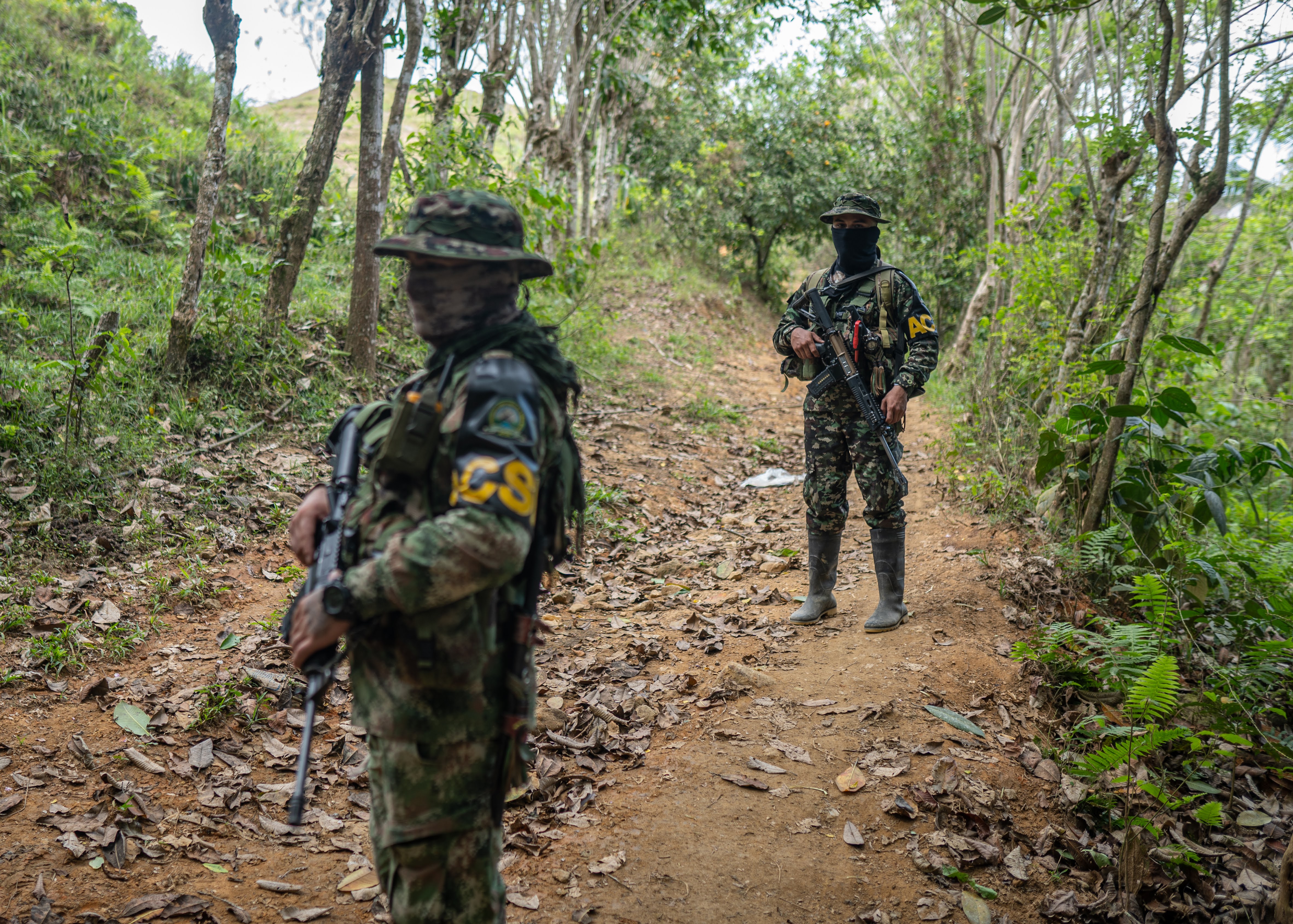 Gobierno Petro anuncia que iniciará diálogos de paz con Autodefensas de la Sierra
