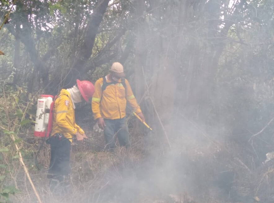Incendios forestales en Isla de Salamanca (Magdalena) ponen en riesgo la fauna y la flora