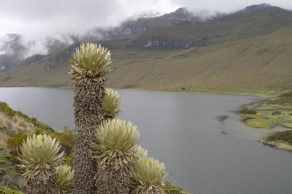 Laguna del Otún / Foto: Aguas y Aguas de Pereira.