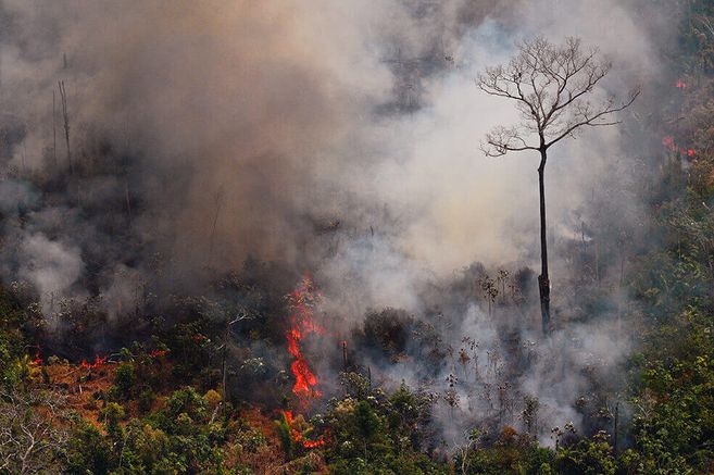 Se dispara el número de incendios en la Amazonía brasileña
