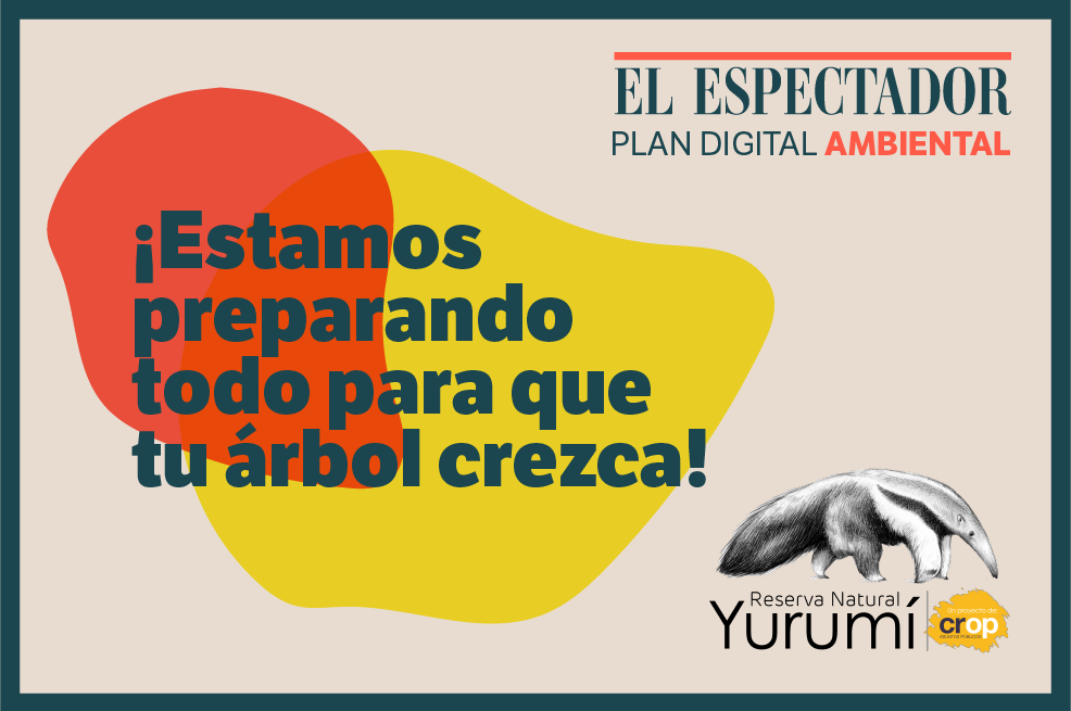 ¿Cómo es el proceso de siembra? ¿Cuál es la fecha ideal? Aquí despejamos tus dudas