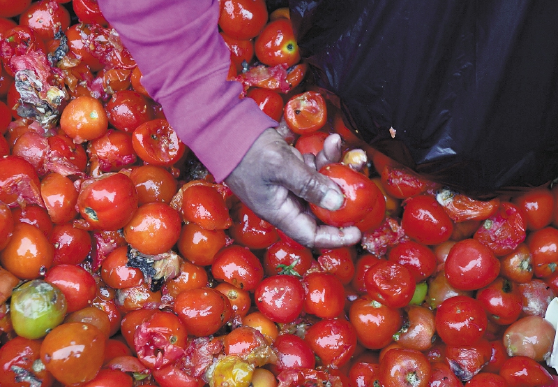 La guerra en Ucrania causaría una “catástrofe humana” alimentaria: Banco Mundial