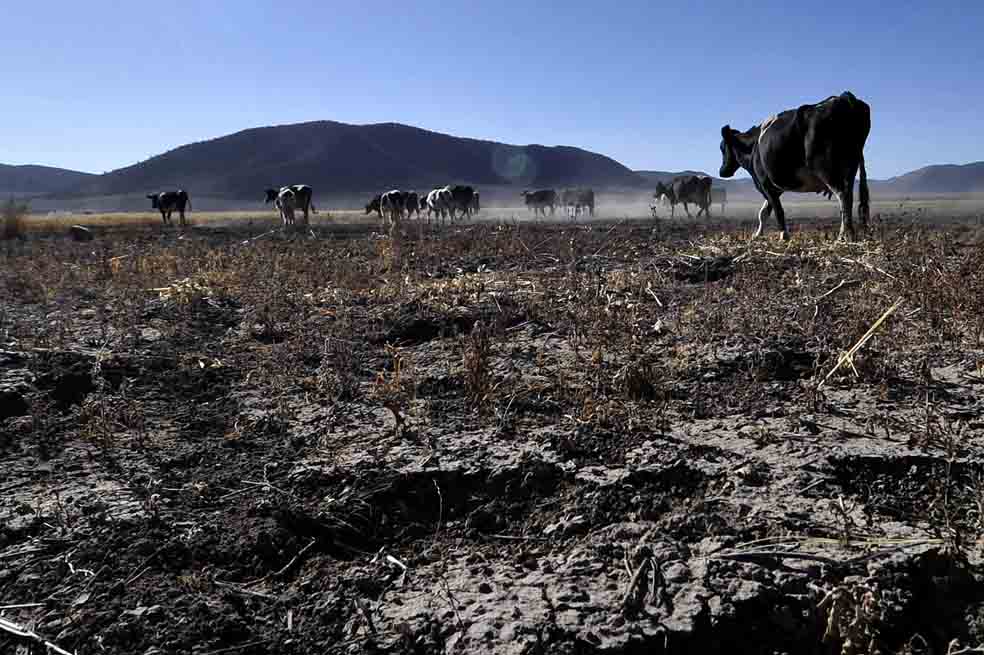 Fenómeno de El Niño: “¿Cuántos eventos extremos más necesitamos para cambiar?”
