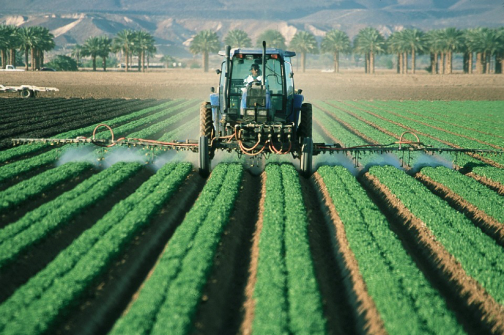 «Los pesticidas son los responsables de la muerte de 200.000 personas cada año»: ONU