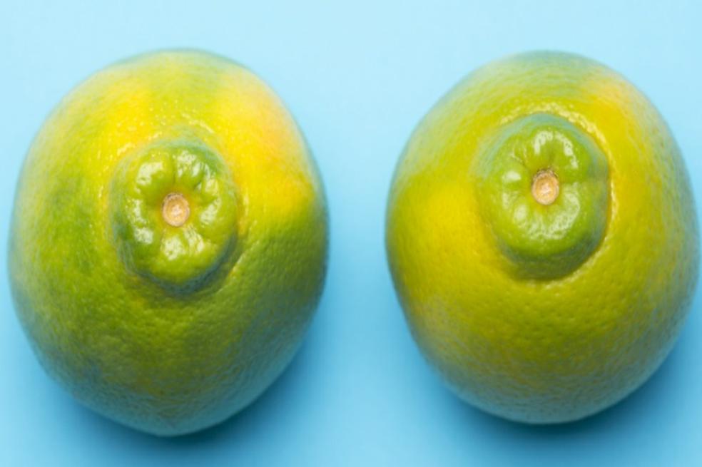Cómo lograr un orgasmo de senos y otras formas de placer más allá de la penetración