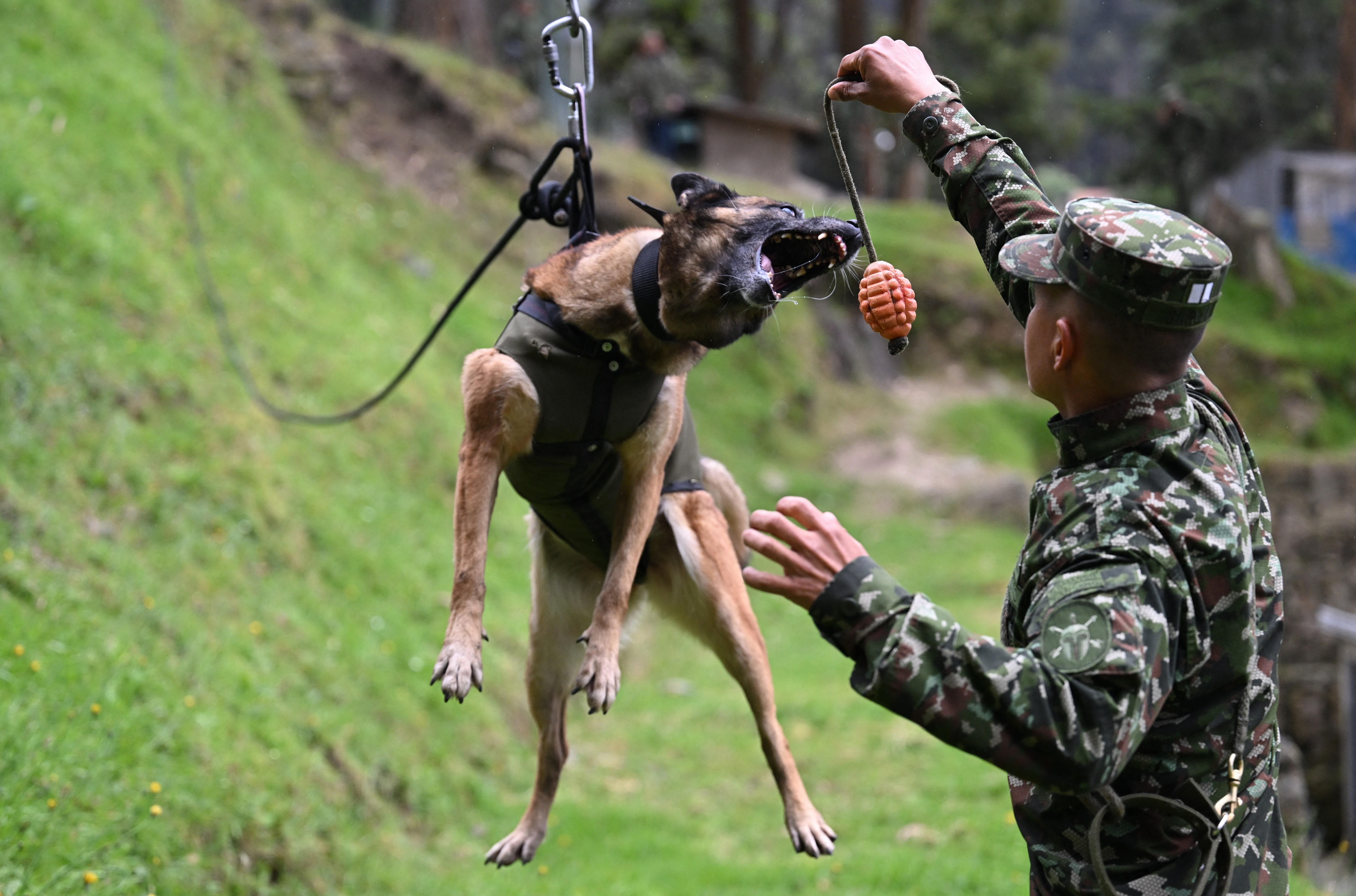 centro de adiestramiento canino del Ejército de Colombia