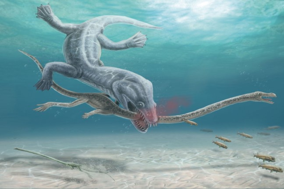 Hace millones de años, tener un cuello muy largo fue una desventaja para este reptil
