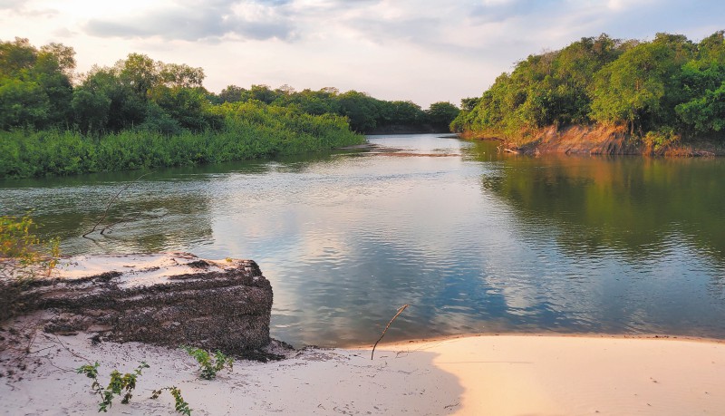 Mosaicos de conservación, una pieza clave para cuidar la biodiversidad de Colombia