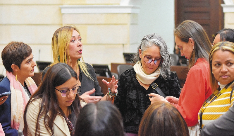 “Declarar emergencia por violencia de género”: Comisión para la Equidad de la Mujer
