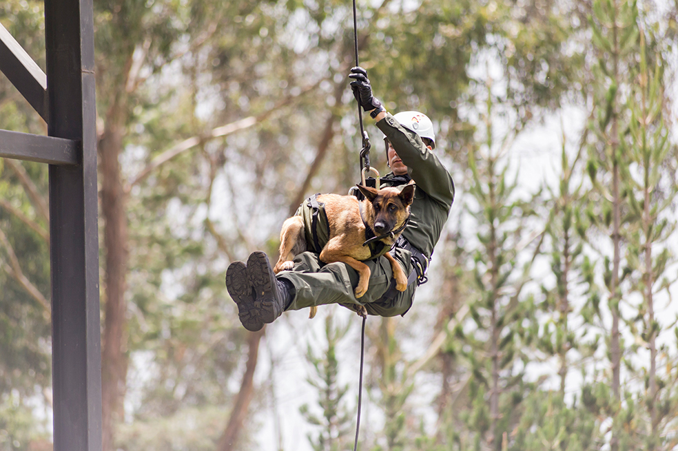 Caninos de la Policía de Colombia protagonizan programa de NatGeo