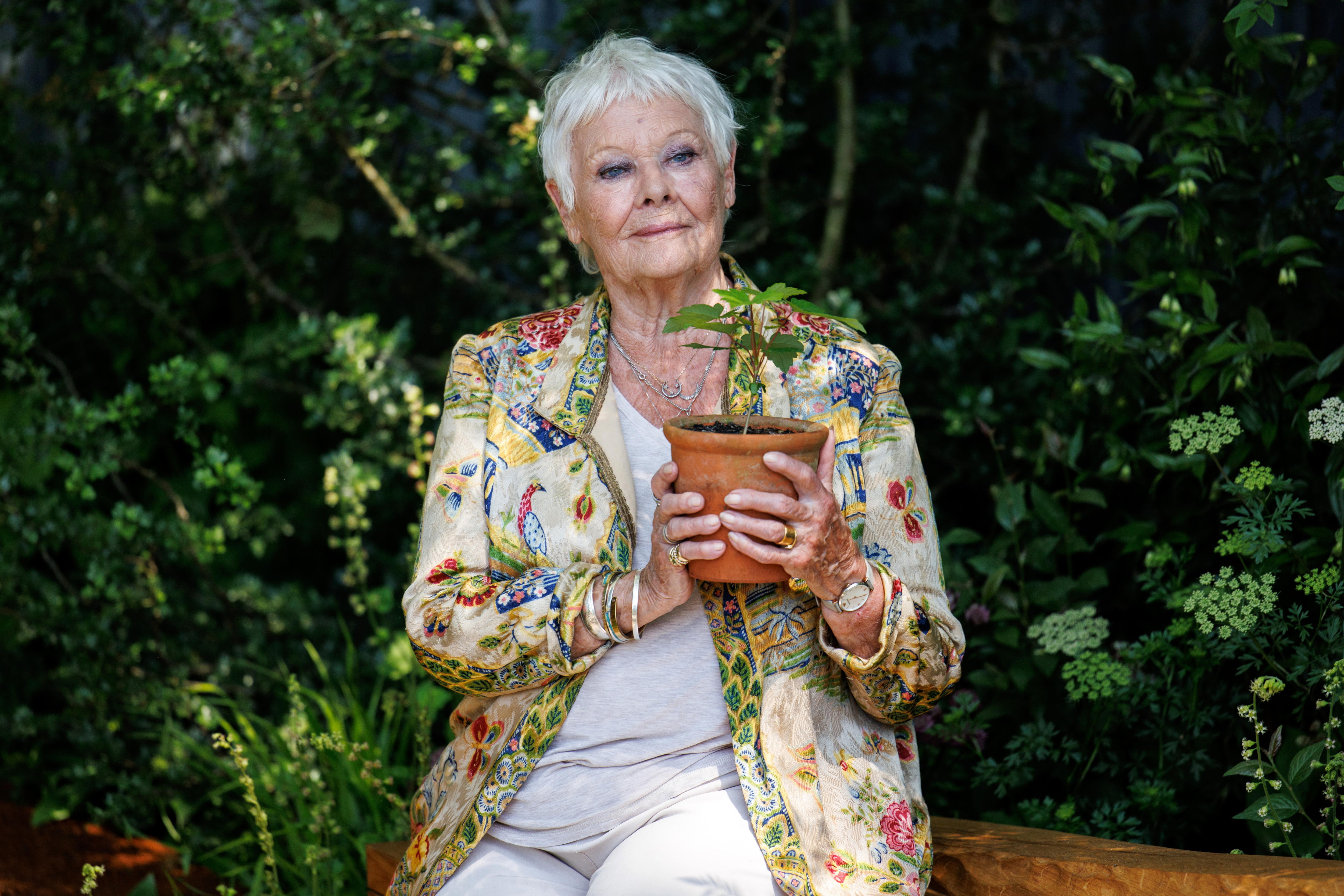 London (United Kingdom), 20/05/2024.- British actor Dame Judi Dench poses at The Octavia Hill Garden display during the press day at the Chelsea Flower Show in London, Britain, 20 May 2024. The annual gardening exhibition runs from 21 to 25 May 2024 at the Royal Chelsea Hospital in London. (Reino Unido, Londres) EFE/EPA/TOLGA AKMEN