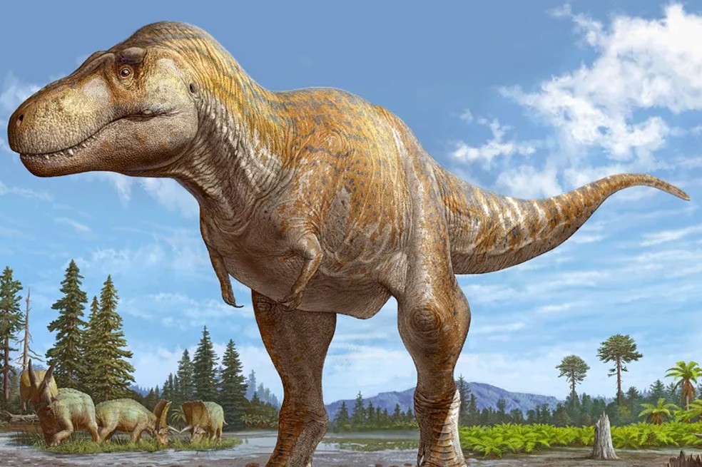 ¿Por qué el tiranosaurio rex tenía brazos tan pequeños? Científicos ofrecen nuevas pistas