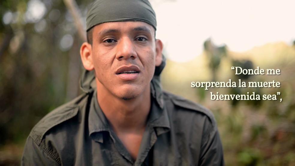 El Pollo: memorias de un combatiente de las Farc en su tránsito a la vida civil