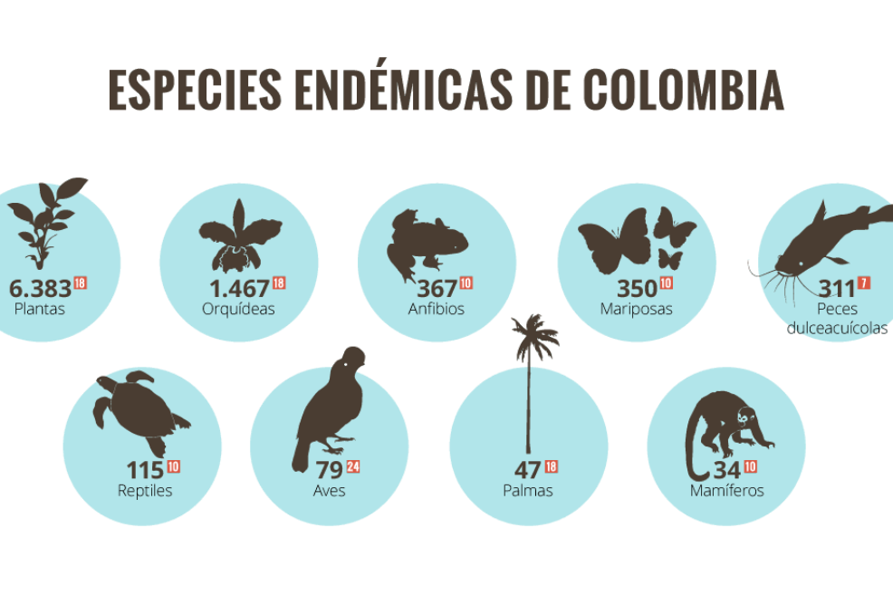 Según el Instituto Humboldt el 14% de todas las especies que habitan en Colombia son endémicas.