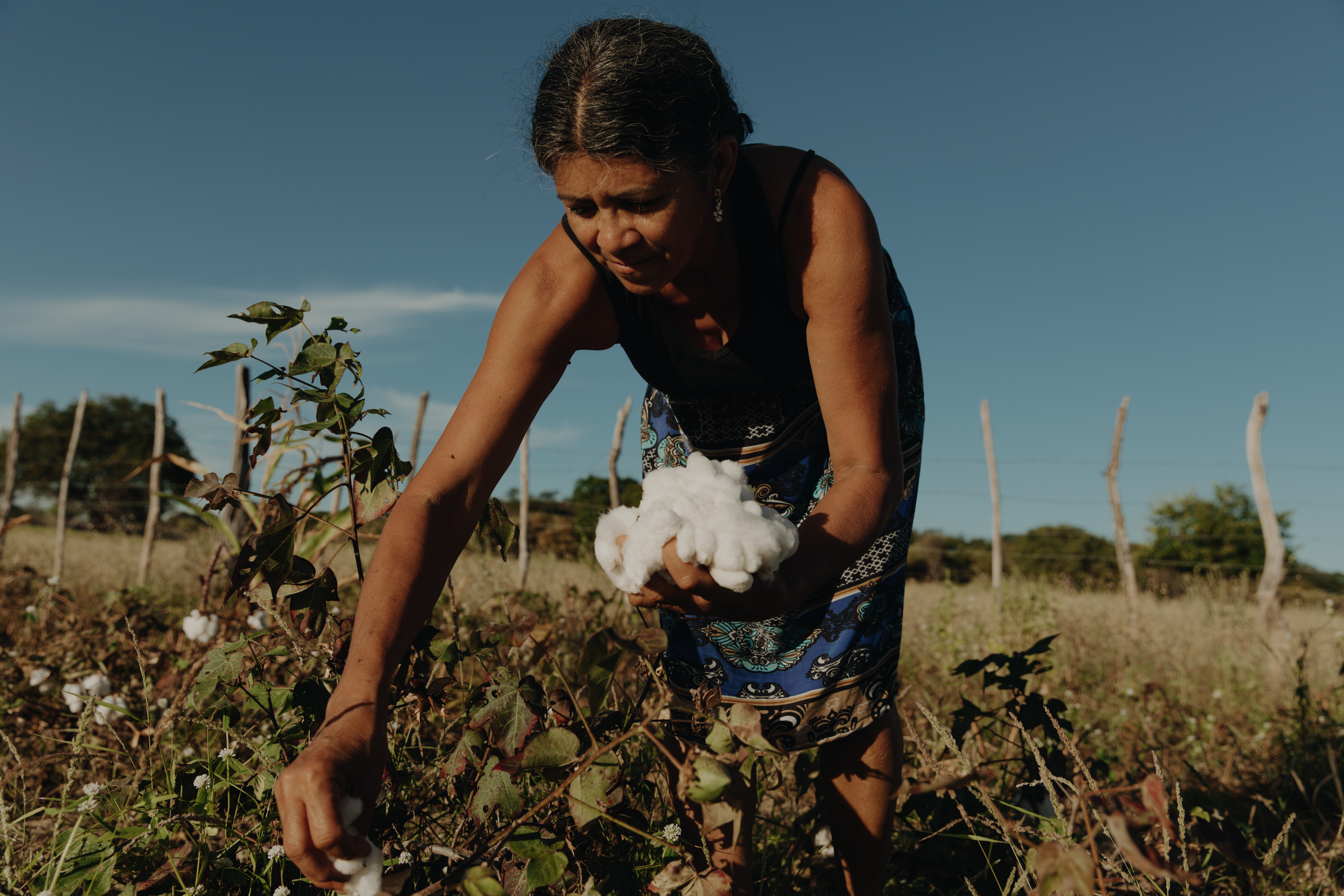 Un retrato audiovisual de las comunidades vinculadas a la producción de tenis