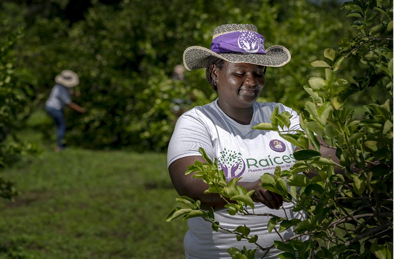 Mujeres rurales en Colombia: liderazgo para la transformación territorial