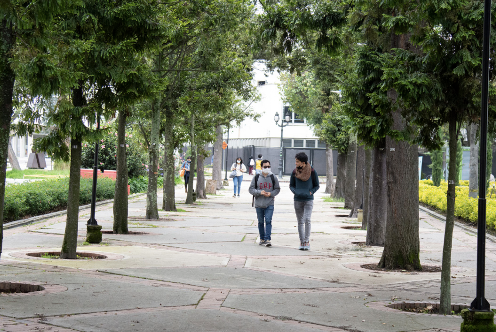 Deserción universitaria en Iberoamérica alcanza el 33 %