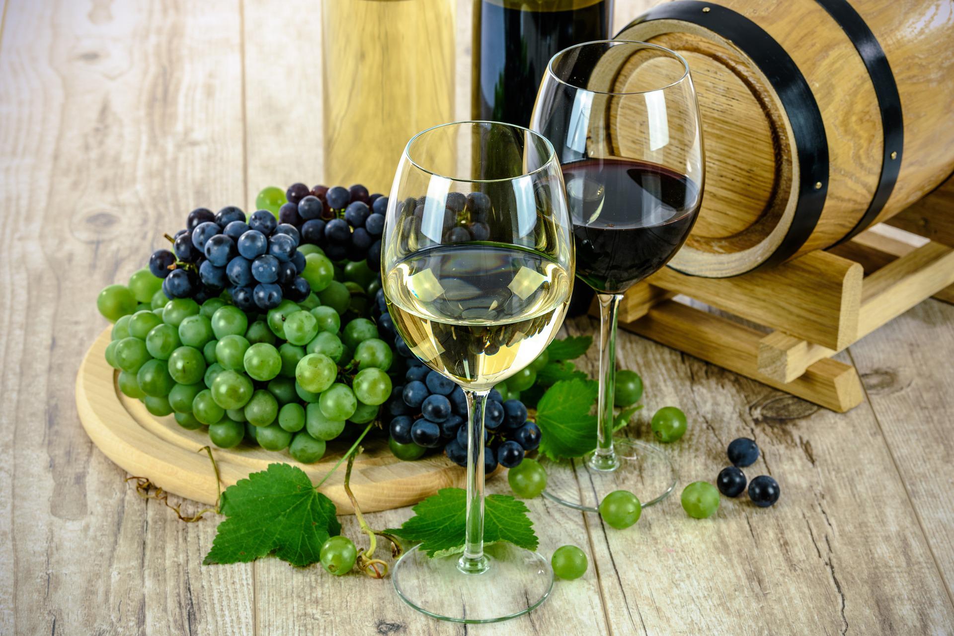 Expovinos 2022: conozca los vinos orgánicos, veganos, biodinámicos y ecológicos
