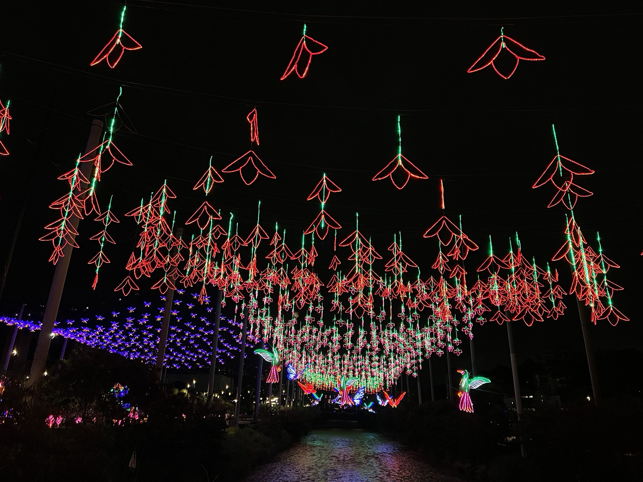 Ruta de alumbrados navideños en Bogotá: puntos, fechas y recorridos