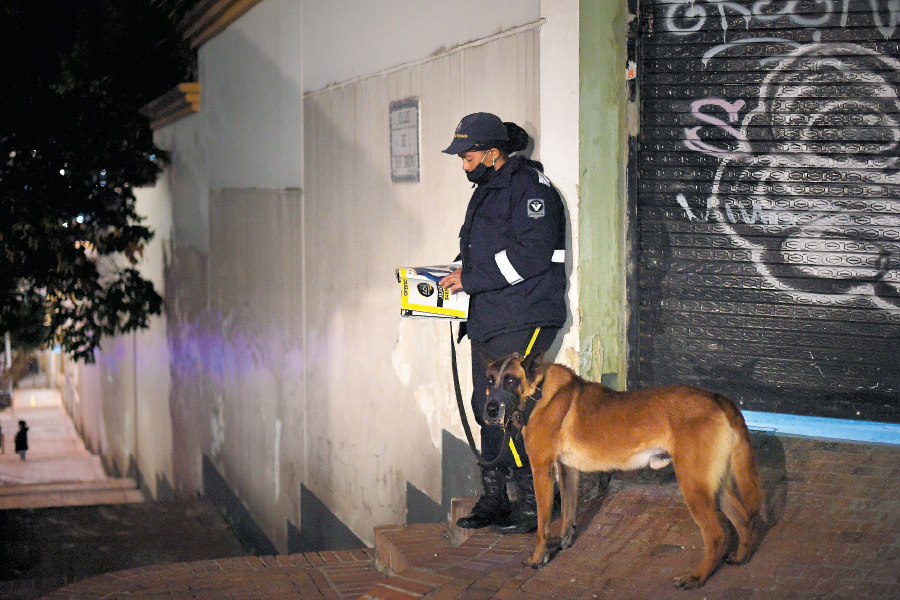 Jornada laboral de seis horas para perros de seguridad: esto dice la norma