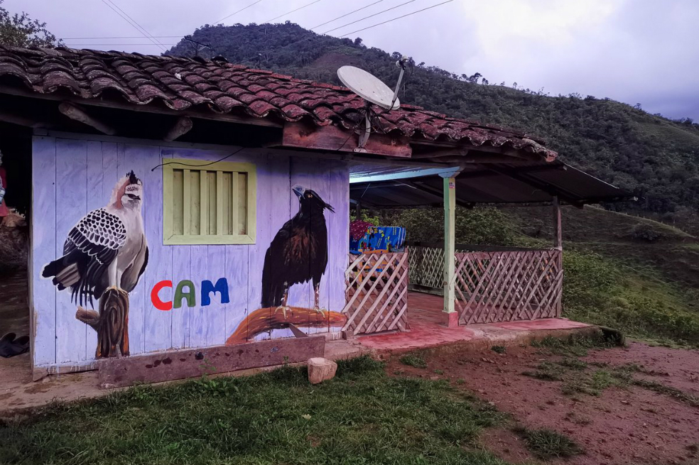 Cuidándole la espalda al águila real de montaña