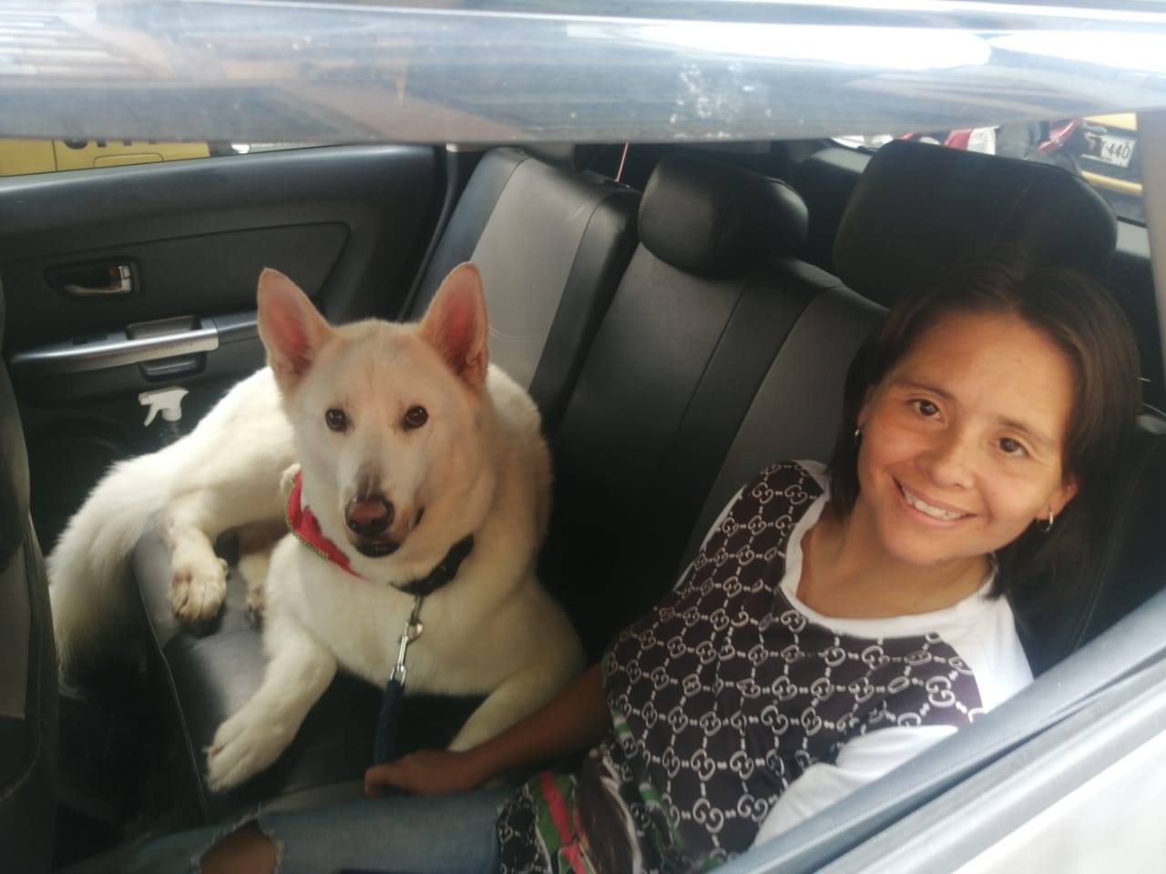 La historia de Gio, el taxista que no transporta personas, sino mascotas (video)