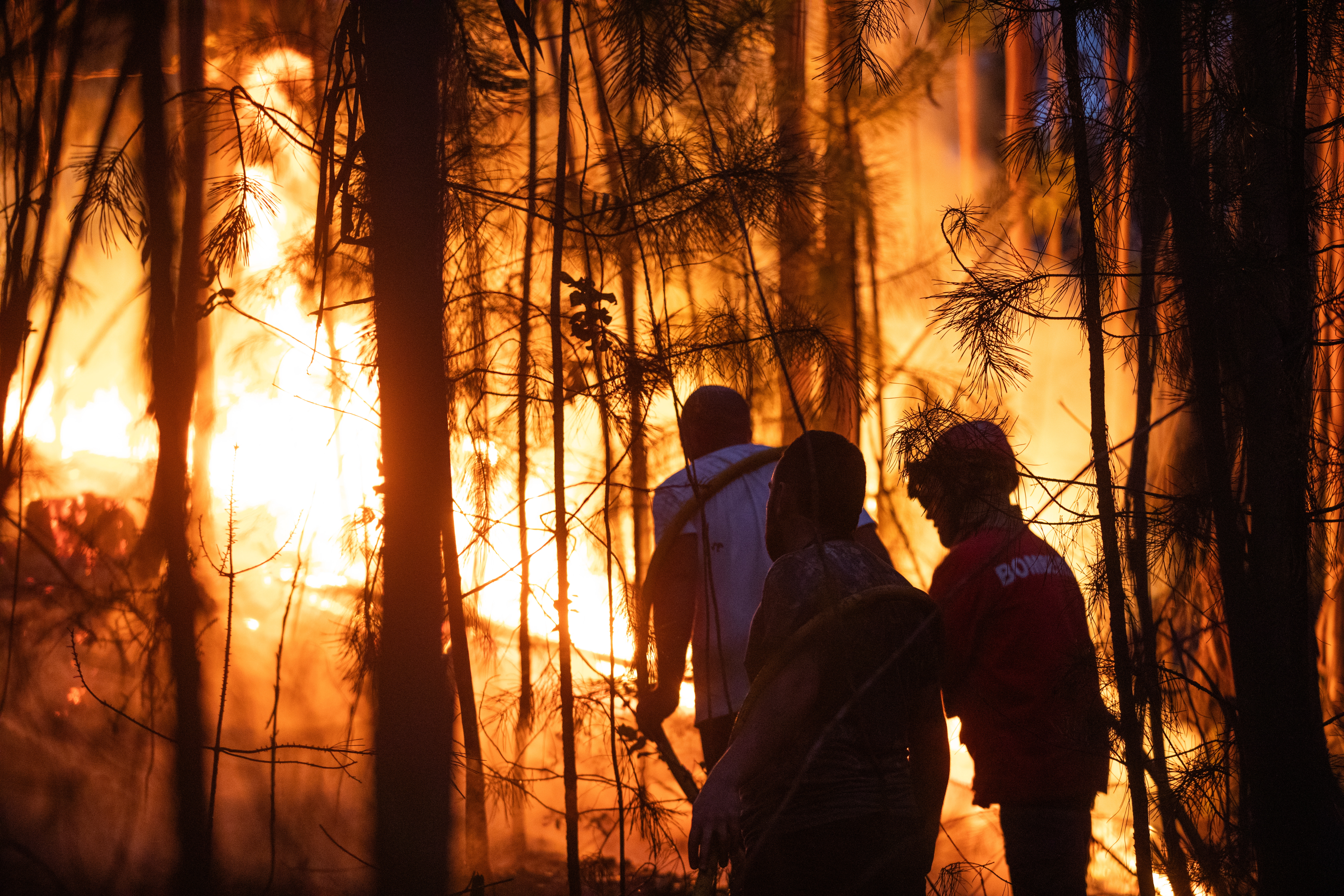 Incendio forestal destruyó 7.000 hectáreas en el centro de Portugal