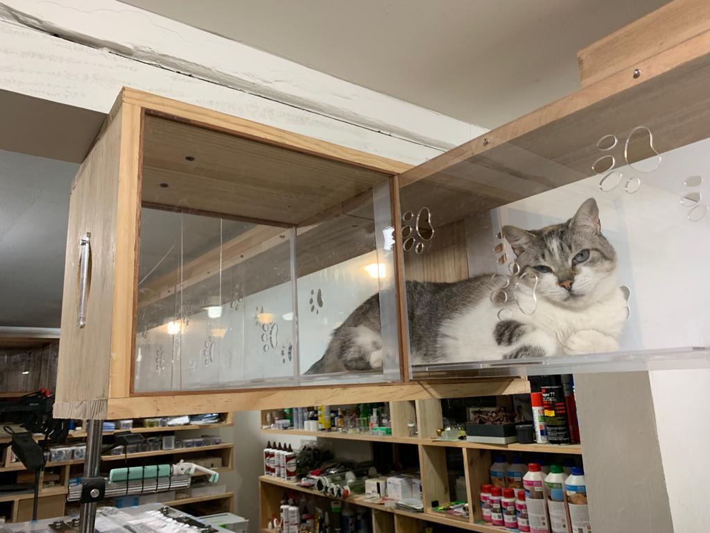 El arquitecto Miguel Forero, sus gatos, sus maquetas y el lugar que los alberga