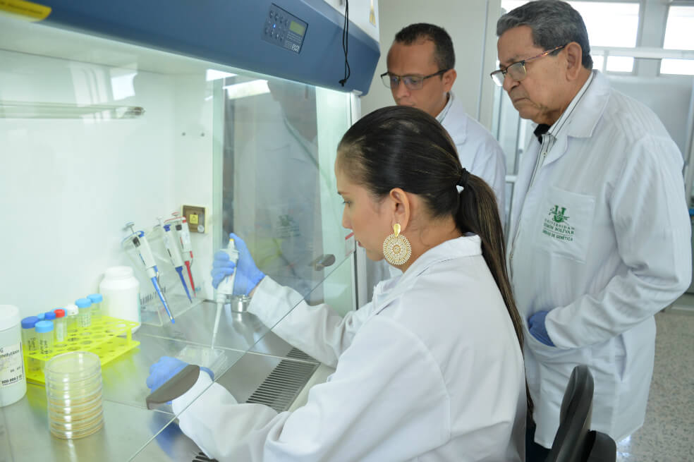 ¿Quién es quién entre las universidades por producción de artículos científicos?