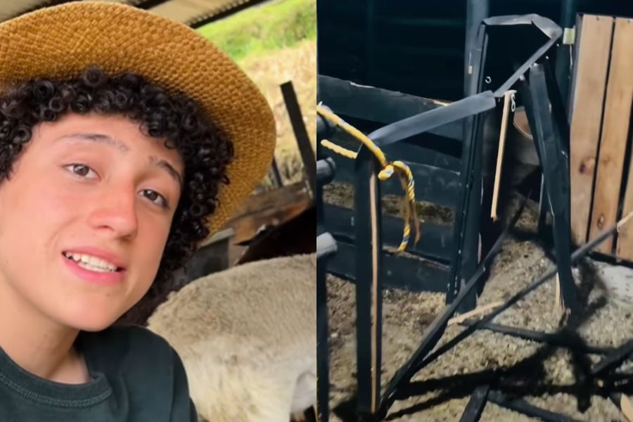 Niño de “La Granja del Borrego” vivió dramático momento en su finca por la pólvora