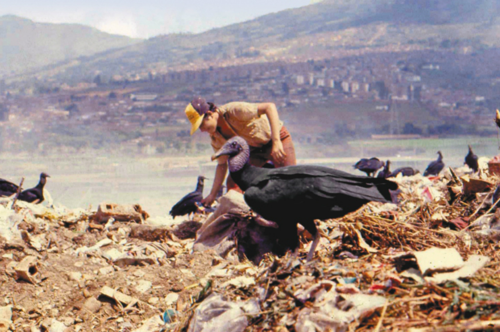 El barrio que nació de la basura