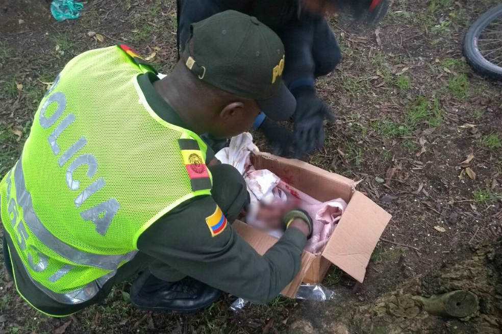 Bebé recién nacida fue hallada en una caja abandonada en un parque de Bogotá