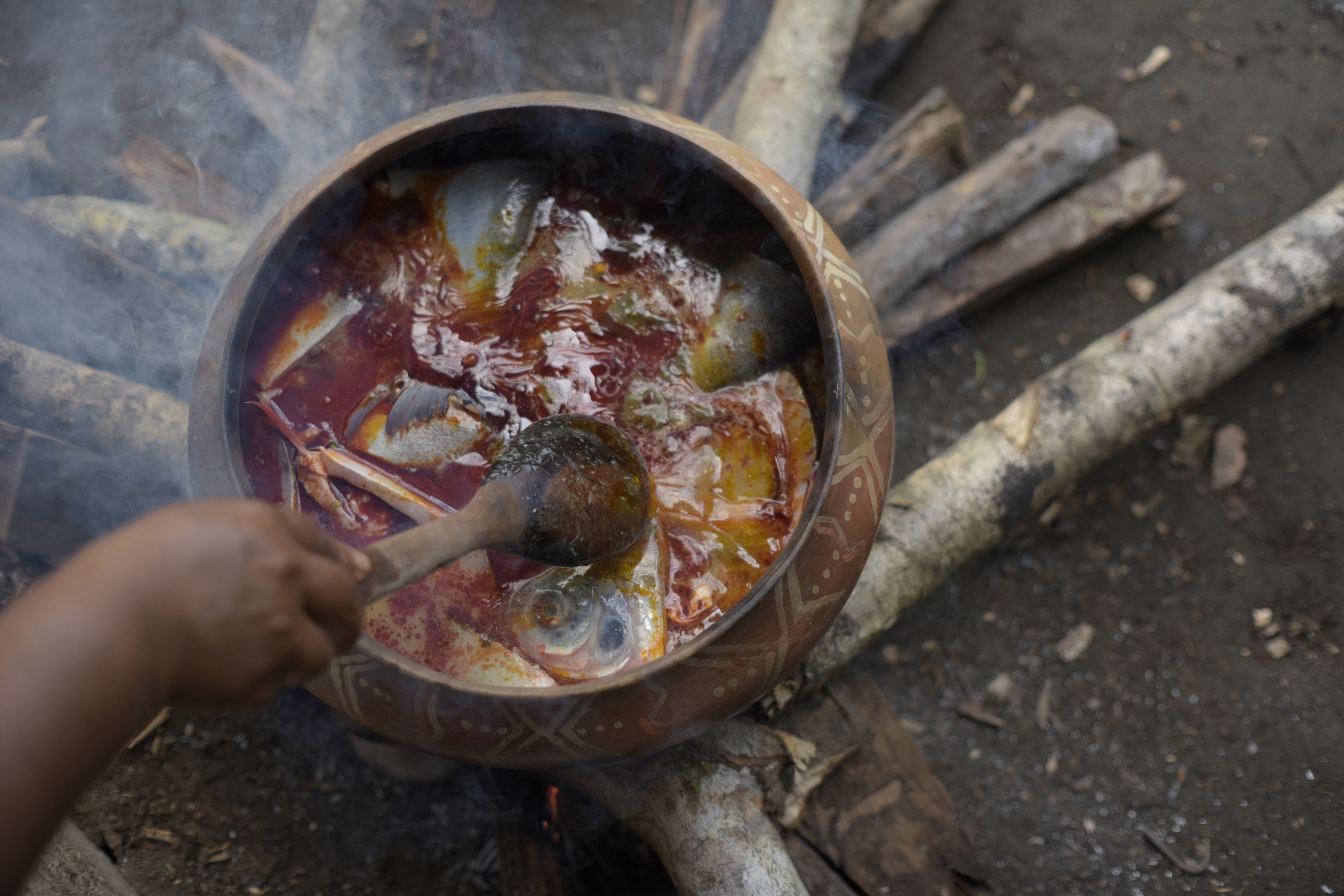 En un plato de comida está la receta para conservar la Amazonia