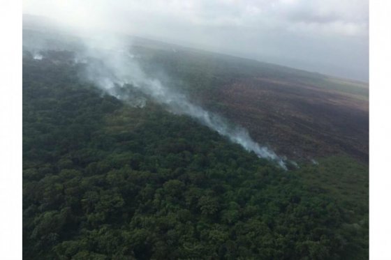 Alerta por alta probabilidad de incendio en 26 parques naturales