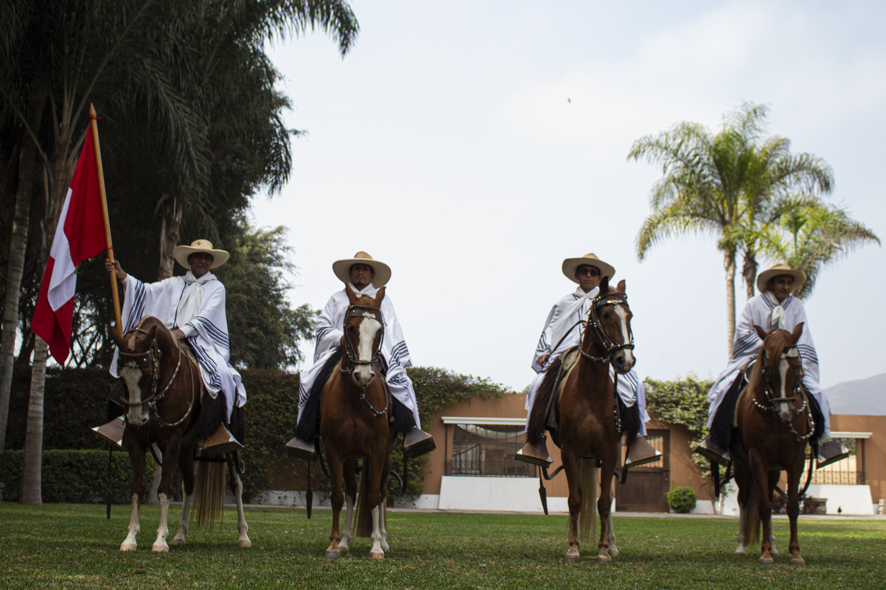 El caballo de paso peruano tiene un caminado de cuatro tiempos, lo que los hace único en el mundo. Es un animal noble y de andar suave, lo que lo hace ideal para cabalgatas y exposiciones.