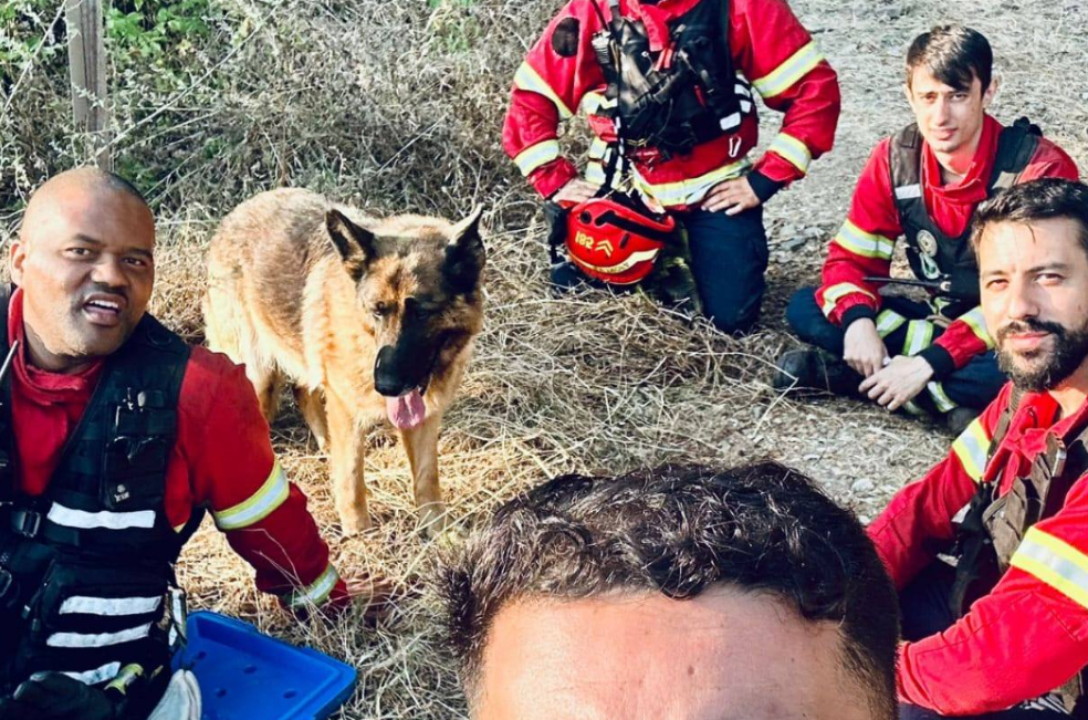 El tierno gesto con el que este perro agradeció a los bomberos que lo salvaron